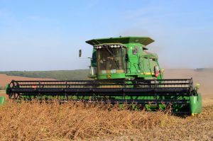 Аграрії Дніпропетровщини відчули наслідки посухи